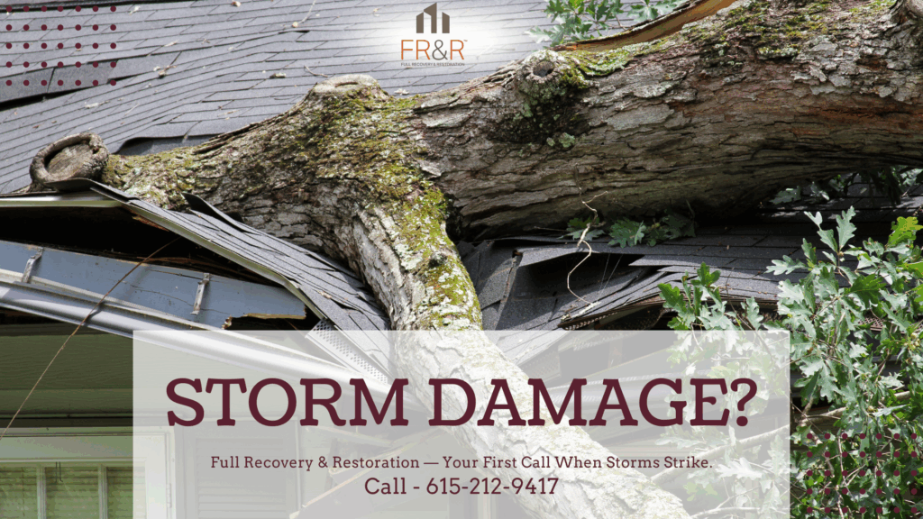 storm damage cleanup