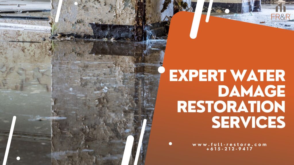 Expert Water Damage Restoration Services